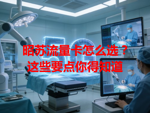 昭苏流量卡怎么选？这些要点你得知道
