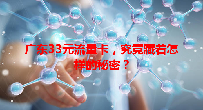 广东33元流量卡，究竟藏着怎样的秘密？