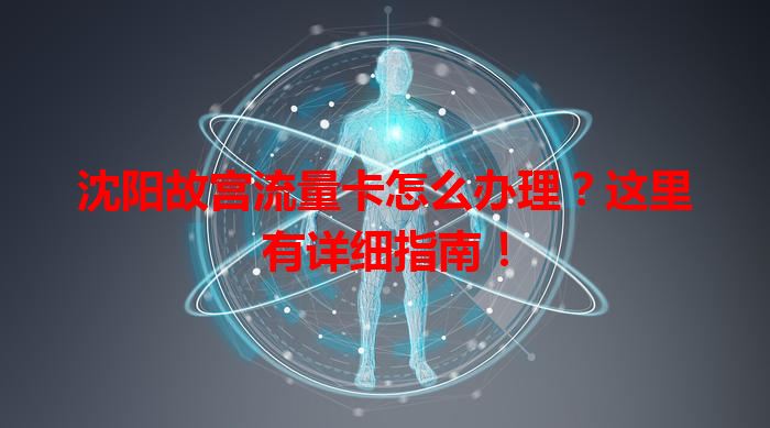 沈阳故宫流量卡怎么办理？这里有详细指南！