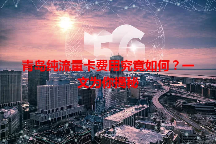 青岛纯流量卡费用究竟如何？一文为你揭秘