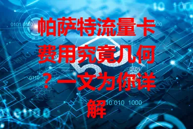 帕萨特流量卡费用究竟几何？一文为你详解