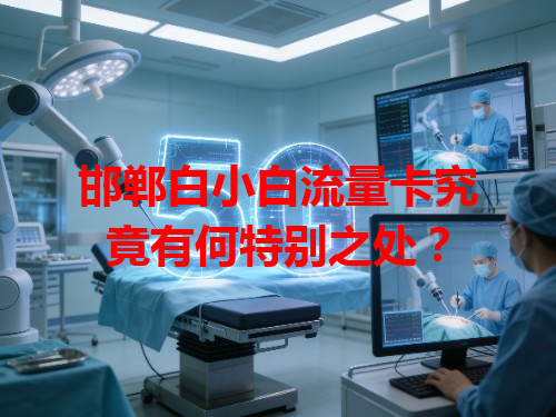 邯郸白小白流量卡究竟有何特别之处？
