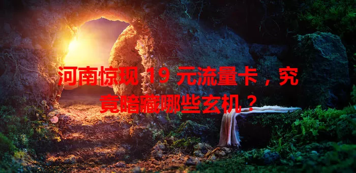 河南惊现 19 元流量卡，究竟暗藏哪些玄机？