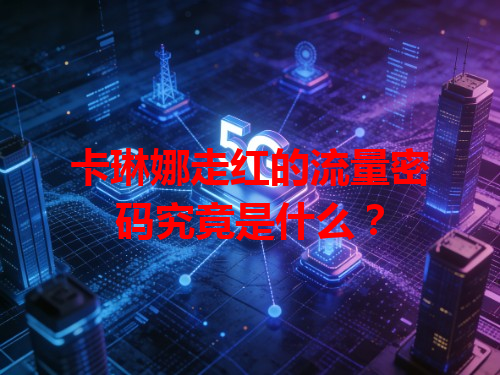 卡琳娜走红的流量密码究竟是什么？