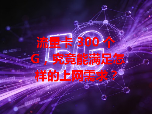 流量卡 300 个 G，究竟能满足怎样的上网需求？