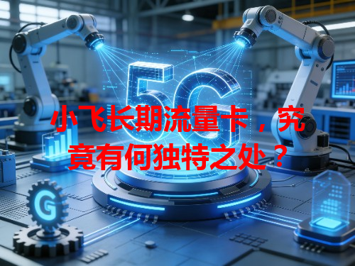 小飞长期流量卡，究竟有何独特之处？