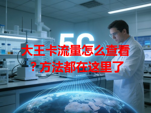 大王卡流量怎么查看？方法都在这里了
