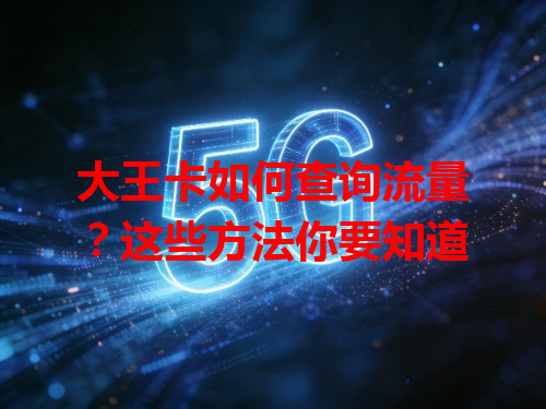 大王卡如何查询流量？这些方法你要知道