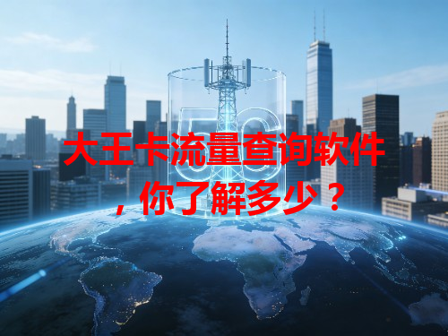 大王卡流量查询软件，你了解多少？