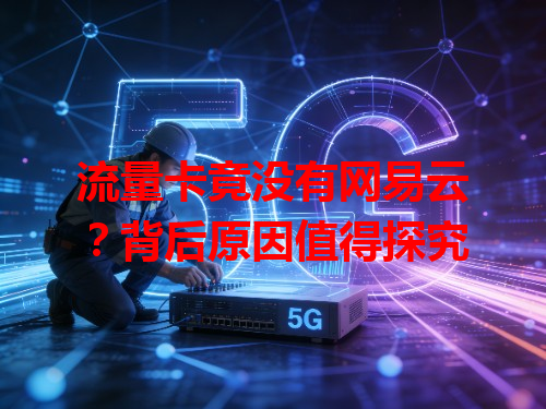 流量卡竟没有网易云？背后原因值得探究