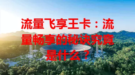 流量飞享王卡：流量畅享的秘诀究竟是什么？