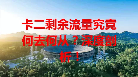 卡二剩余流量究竟何去何从？深度剖析！