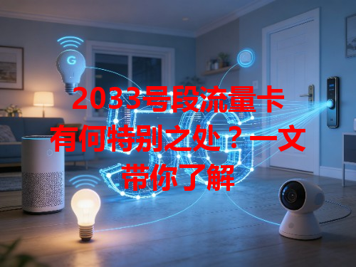 2033号段流量卡有何特别之处？一文带你了解