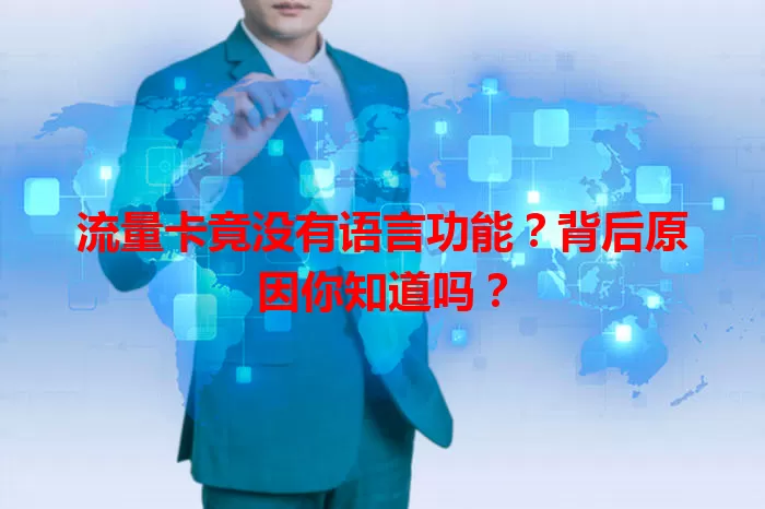 流量卡竟没有语言功能？背后原因你知道吗？