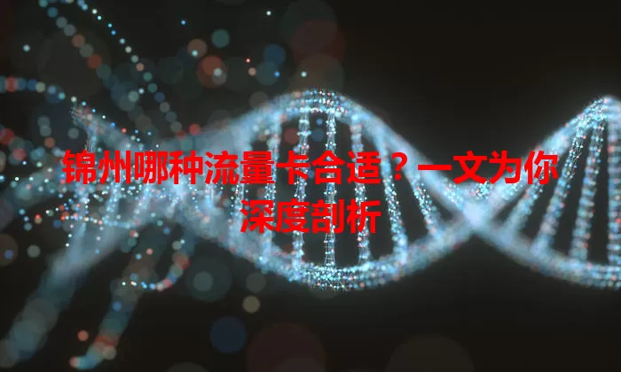 锦州哪种流量卡合适?一文为你深度剖析