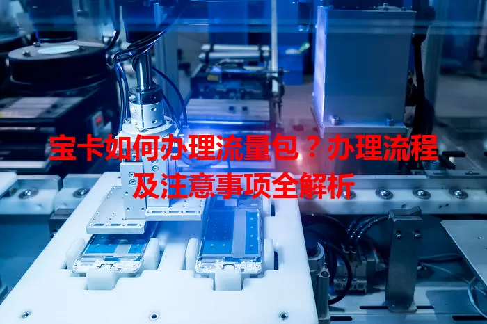 宝卡如何办理流量包？办理流程及注意事项全解析