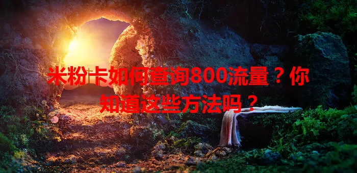 米粉卡如何查询800流量？你知道这些方法吗？