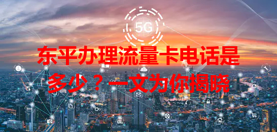东平办理流量卡电话是多少？一文为你揭晓