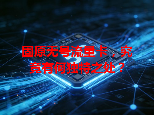 固原无号流量卡，究竟有何独特之处？