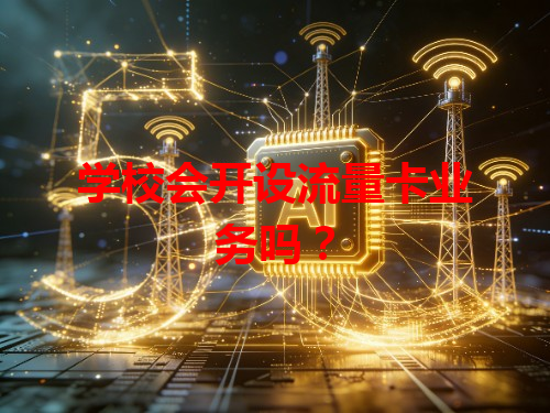 学校会开设流量卡业务吗？