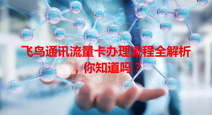 飞鸟通讯流量卡办理流程全解析,你知道吗?