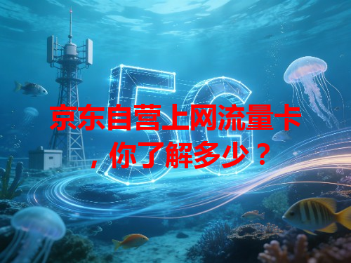 京东自营上网流量卡，你了解多少？