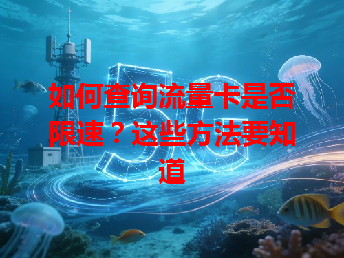 如何查询流量卡是否限速？这些方法要知道
