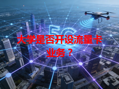 大学是否开设流量卡业务？
