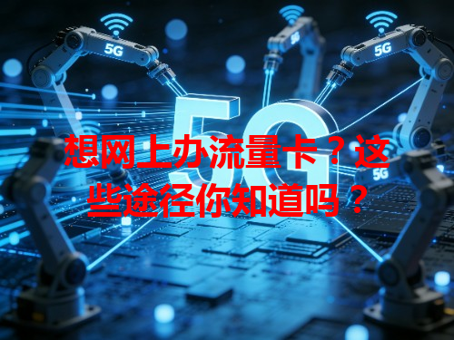 想网上办流量卡？这些途径你知道吗？