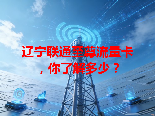 辽宁联通至尊流量卡，你了解多少？