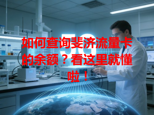 如何查询斐济流量卡的余额？看这里就懂啦！