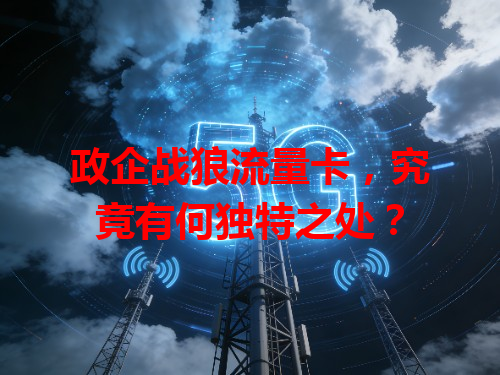 政企战狼流量卡，究竟有何独特之处？