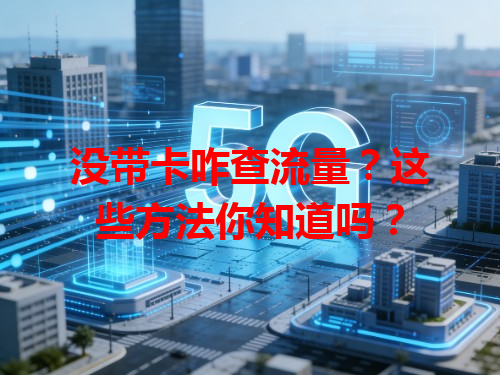 没带卡咋查流量？这些方法你知道吗？