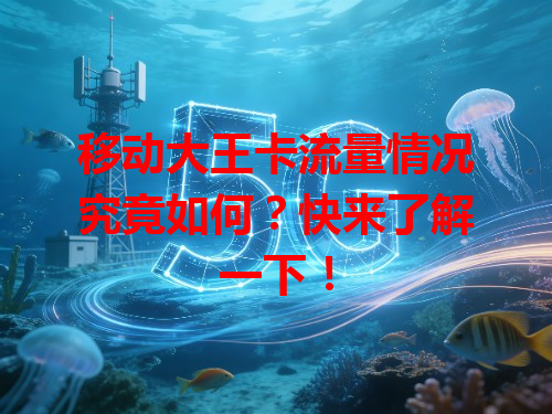 移动大王卡流量情况究竟如何？快来了解一下！