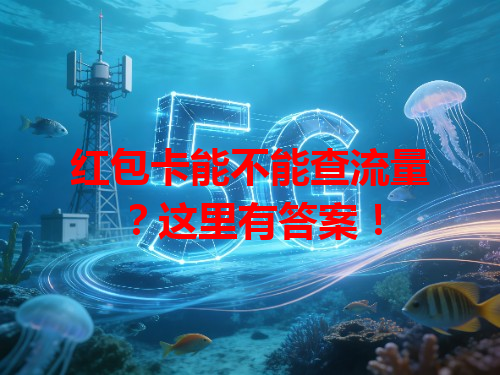 红包卡能不能查流量？这里有答案！