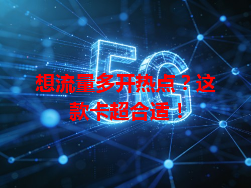 想流量多开热点？这款卡超合适！
