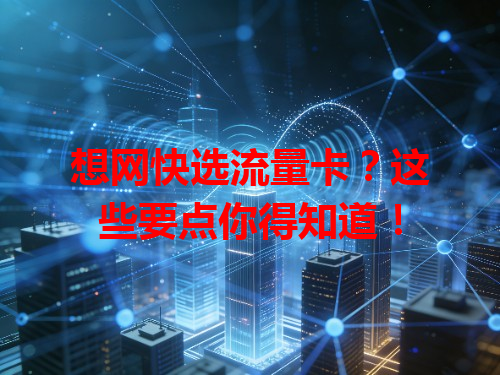 想网快选流量卡？这些要点你得知道！