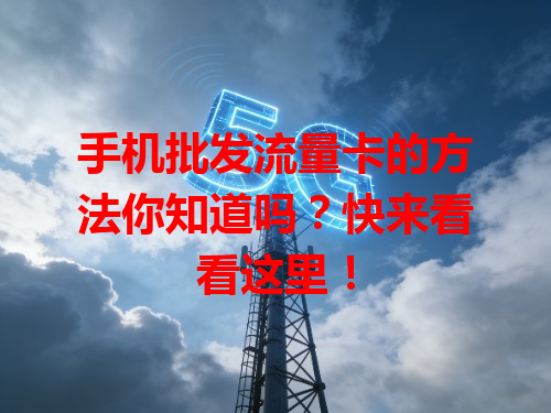 手机批发流量卡的方法你知道吗？快来看看这里！