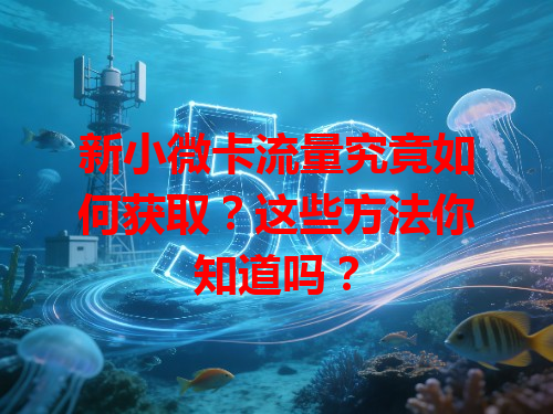 新小微卡流量究竟如何获取？这些方法你知道吗？