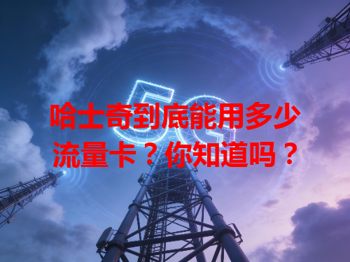 哈士奇到底能用多少流量卡？你知道吗？