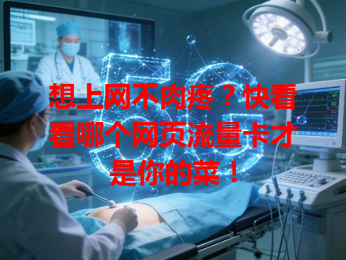 想上网不肉疼？快看看哪个网页流量卡才是你的菜！