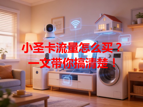 小圣卡流量怎么买？一文带你搞清楚！