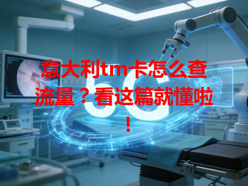 意大利tm卡怎么查流量？看这篇就懂啦！