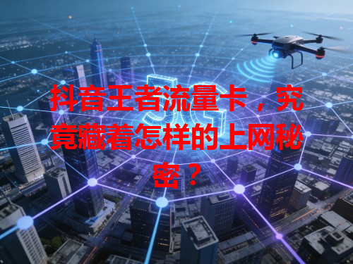 抖音王者流量卡，究竟藏着怎样的上网秘密？