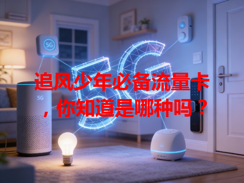 追风少年必备流量卡，你知道是哪种吗？