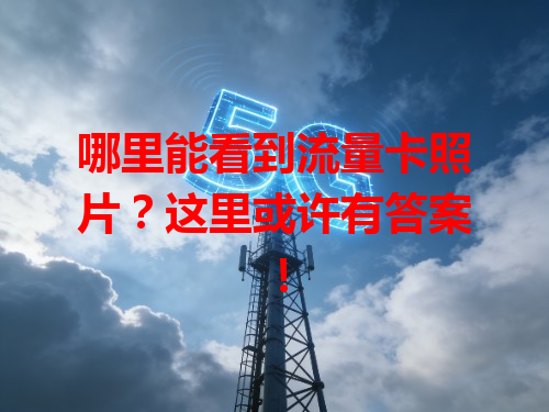 哪里能看到流量卡照片？这里或许有答案！