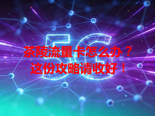 茶陵流量卡怎么办？这份攻略请收好！