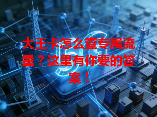 大王卡怎么查专属流量？这里有你要的答案！