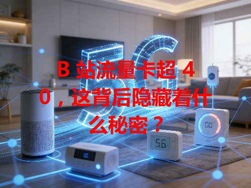 B 站流量卡超 40，这背后隐藏着什么秘密？
