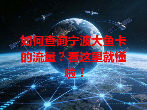 如何查询宁波大鱼卡的流量？看这里就懂啦！